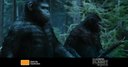 Dawn Of The Planet Of The Apes - Trailer C